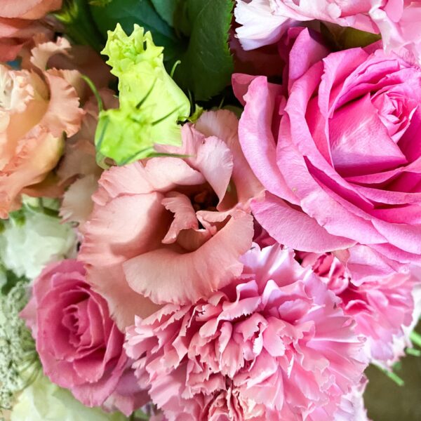 Blushing Blooms 💝 - Image 3
